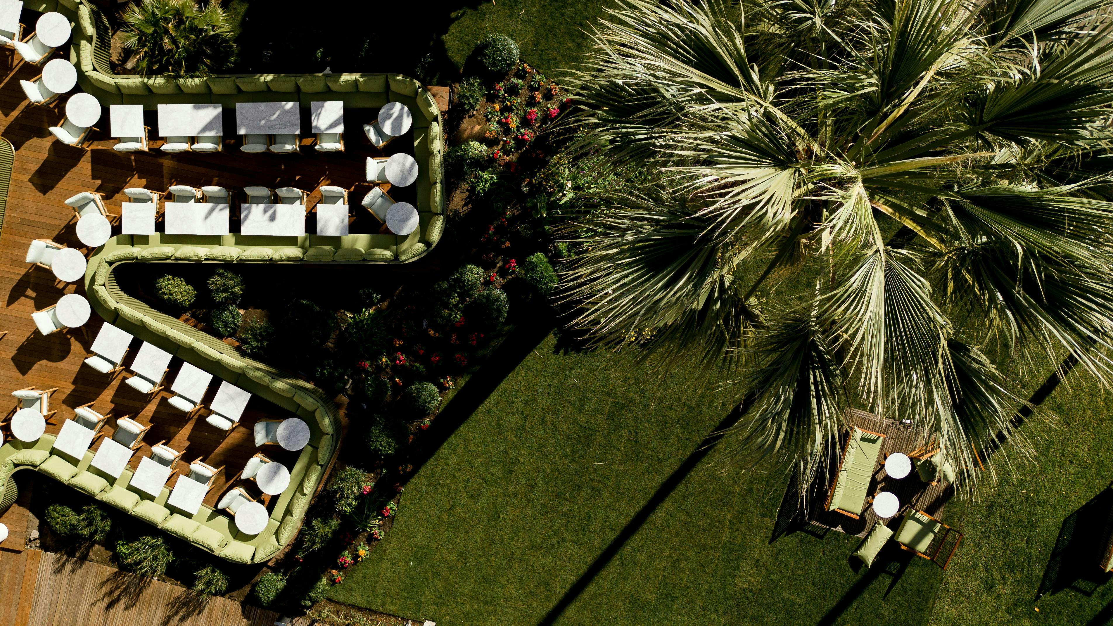 cannes alpes-maritimes garden nature outdoors grass plant hotel resort tree patio vegetation
